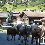 度假居 Arnika Montana