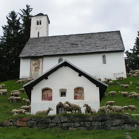 Arnika Montana Ferienhaus