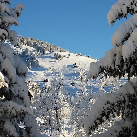 Arnika Montana Holiday home Breil/Brigels