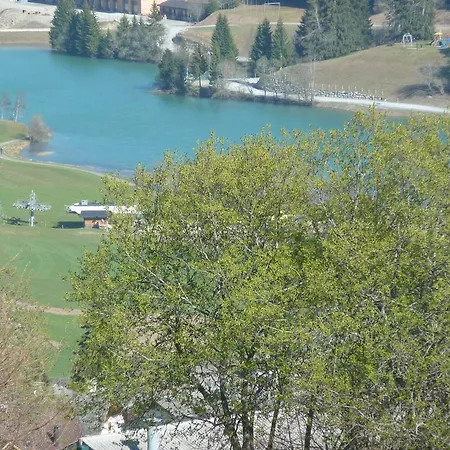 Arnika Montana * Breil/Brigels