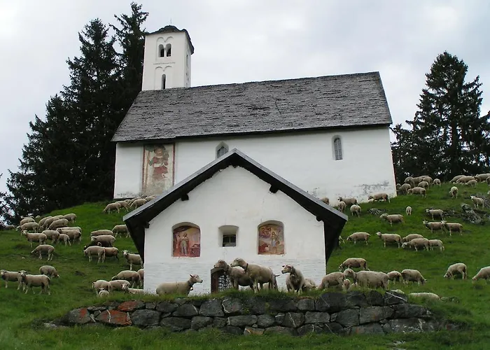 Arnika Montana Tatil Evi