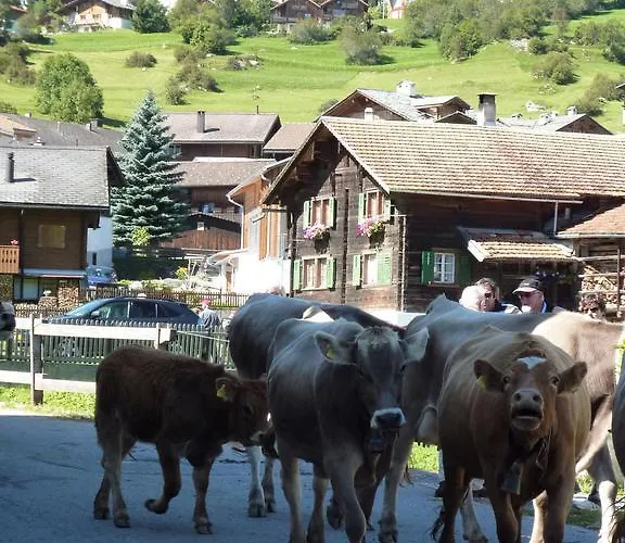 Casa de Férias Arnika Montana