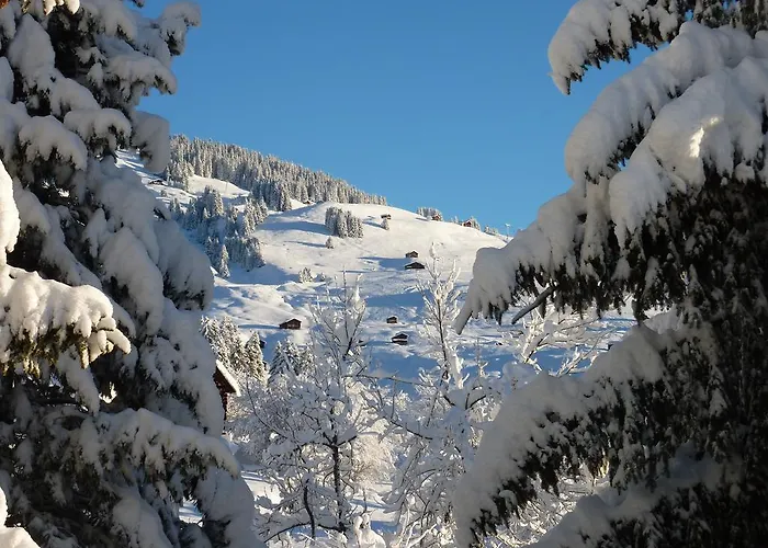 Arnika Montana Tatil Evi Breíl