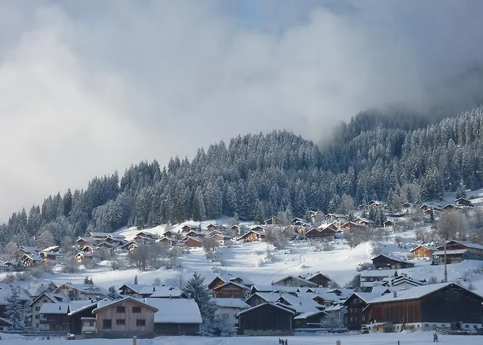 Arnika Montana Breíl