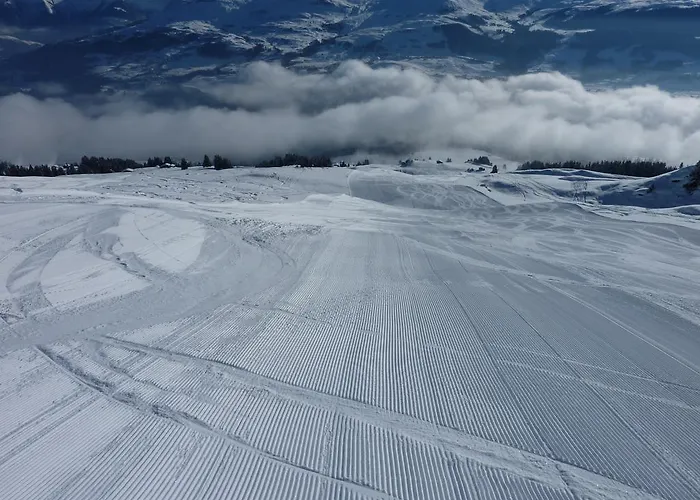 Tatil Evi Arnika Montana