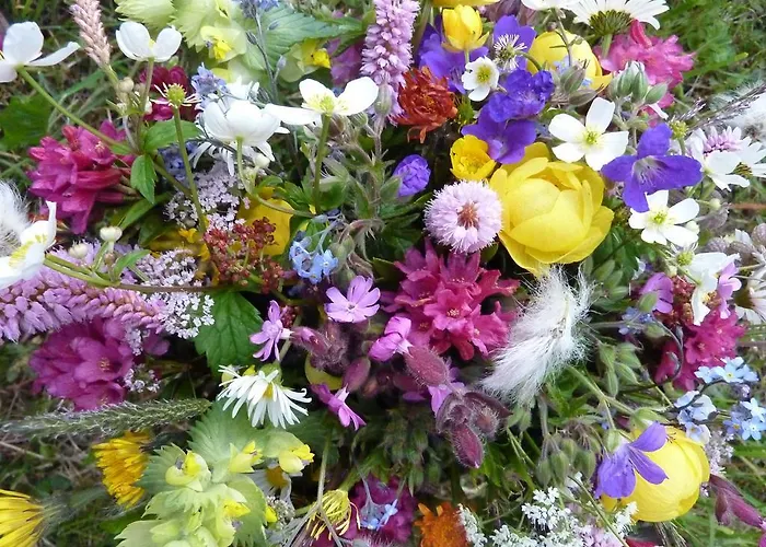 Arnika Montana Casa de Férias Breíl