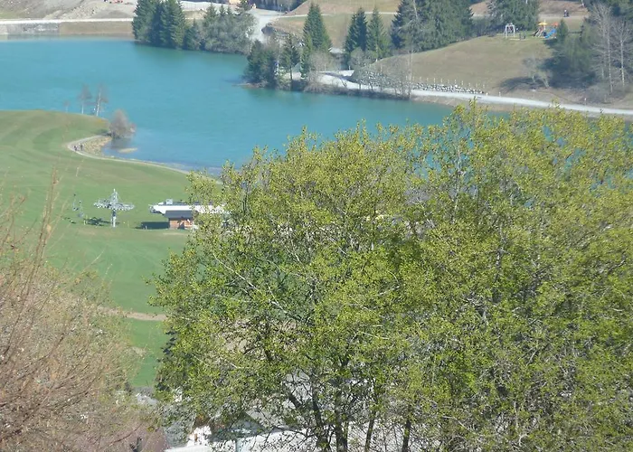 Arnika Montana * Breíl