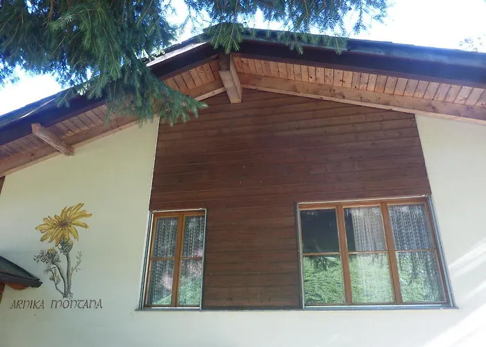 Arnika Montana Breíl