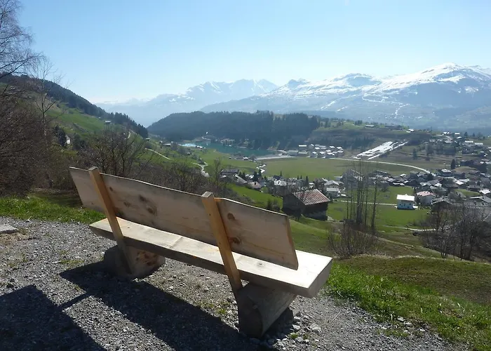 Arnika Montana * Breíl