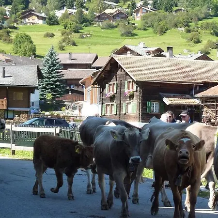 Vakantiehuis Arnika Montana