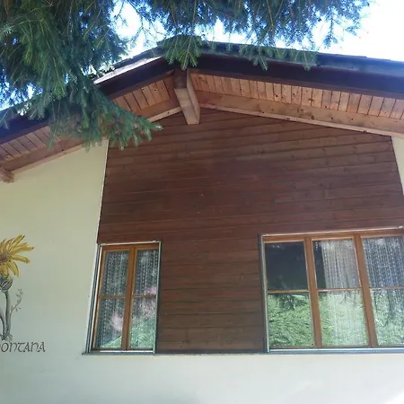 Arnika Montana Breíl