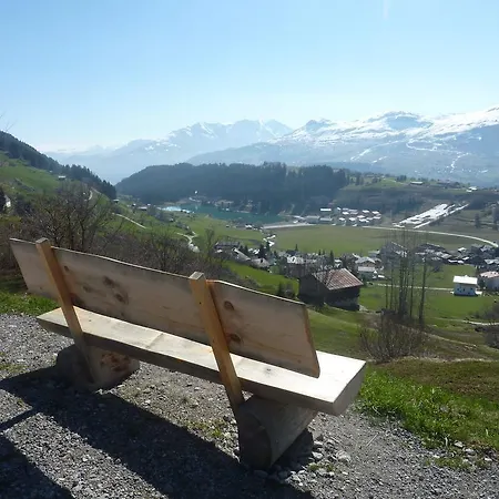 Arnika Montana * Breil/Brigels