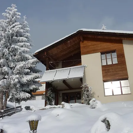 Arnika Montana * Breíl