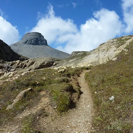 度假居 Arnika Montana *