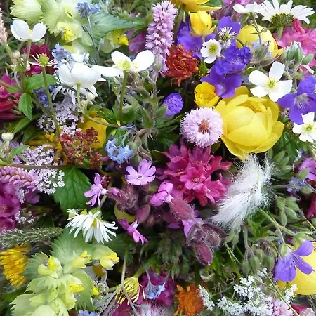 Arnika Montana 度假居 Breíl